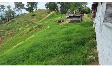 VENTA FINCA BUENA VISTA QUINDIO