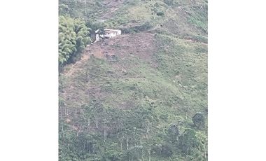 VENTA FINCA BUENA VISTA QUINDIO