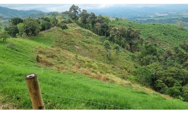 VENTA FINCA BUENA VISTA QUINDIO