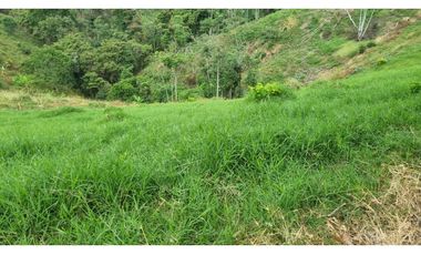 VENTA FINCA BUENA VISTA QUINDIO