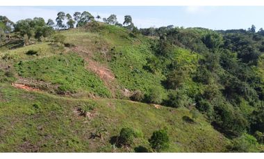 VENTA FINCA BUENA VISTA QUINDIO