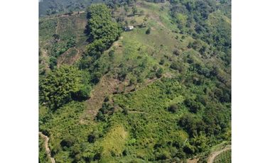 VENTA FINCA BUENA VISTA QUINDIO