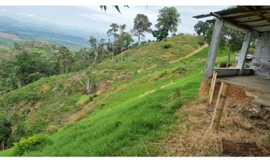 VENTA FINCA BUENA VISTA QUINDIO