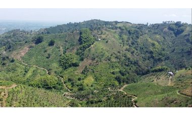 VENTA FINCA BUENA VISTA QUINDIO