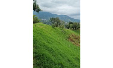 VENTA FINCA BUENA VISTA QUINDIO