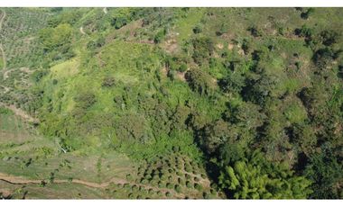 VENTA FINCA BUENA VISTA QUINDIO