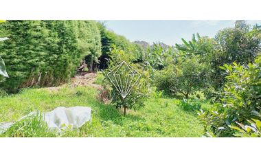 Venta de finca en La Ceja