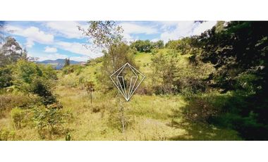 Venta de finca en La Ceja