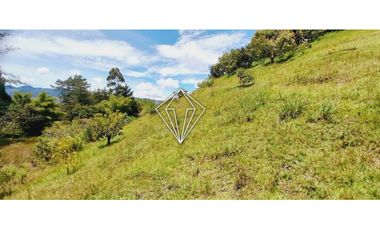 Venta de finca en La Ceja