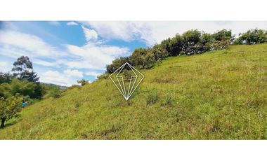 Venta de finca en La Ceja