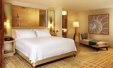 WALDORF ASTORIA ALQUILO APARTAMENTO