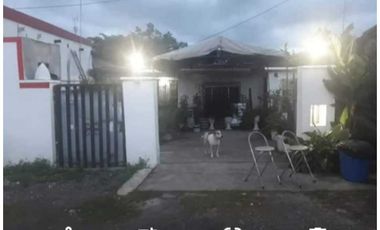 VENDO LOTE COMERCIAL Y CASA EN CHORRERA