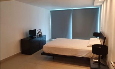 APARTAMENTO AMOBLADO  EN AMADOR CAUSEWAY