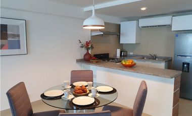 APARTAMENTO AMOBLADO  EN AMADOR CAUSEWAY