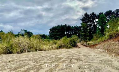 Parcela en Venta en Camino El Tepual - Condominio Lagunitas