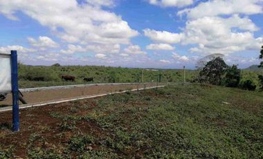 LOTE EN VENTA EN SECTOR COMBIA/PEREIRA