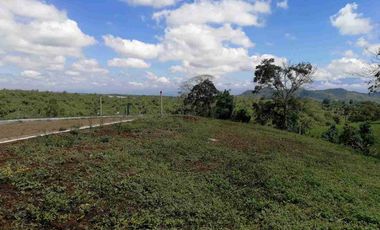 LOTE EN VENTA EN SECTOR COMBIA/PEREIRA