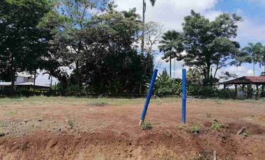 LOTE EN VENTA EN SECTOR COMBIA/PEREIRA