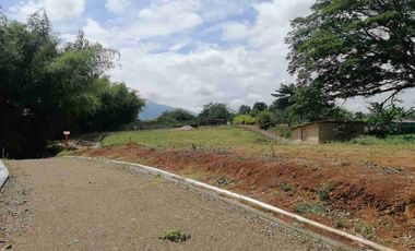 LOTE EN VENTA EN SECTOR COMBIA/PEREIRA
