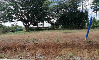 LOTE EN VENTA EN SECTOR COMBIA/PEREIRA