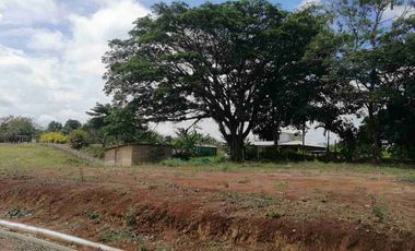 LOTE EN VENTA EN SECTOR COMBIA/PEREIRA