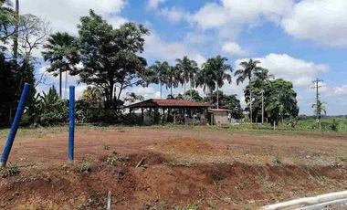 LOTE EN VENTA EN SECTOR COMBIA/PEREIRA