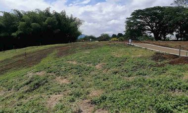 LOTE EN VENTA EN SECTOR COMBIA/PEREIRA
