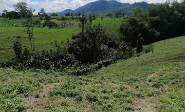 LOTE EN VENTA EN SECTOR COMBIA/PEREIRA