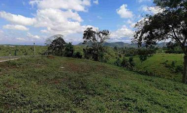 LOTE EN VENTA EN SECTOR COMBIA/PEREIRA