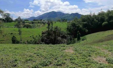 LOTE EN VENTA EN SECTOR COMBIA/PEREIRA