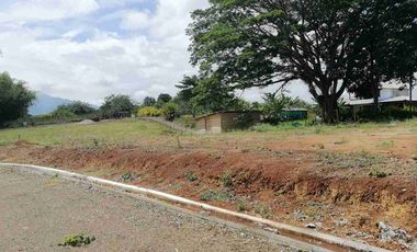 LOTE EN EN VENTA EN SECTOR COMBIA/PEREIRA