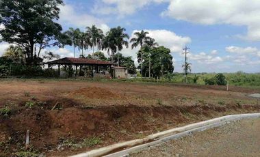 LOTE EN EN VENTA EN SECTOR COMBIA/PEREIRA
