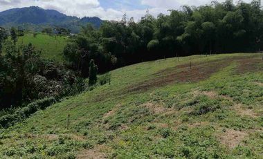 LOTE EN EN VENTA EN SECTOR COMBIA/PEREIRA