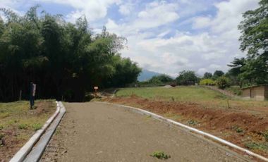 LOTE EN EN VENTA EN SECTOR COMBIA/PEREIRA