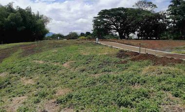 LOTE EN EN VENTA EN SECTOR COMBIA/PEREIRA