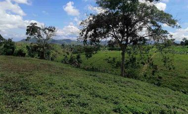 LOTE EN EN VENTA EN SECTOR COMBIA/PEREIRA