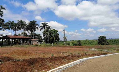 LOTE EN EN VENTA EN SECTOR COMBIA/PEREIRA