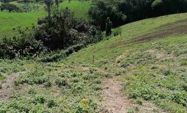 LOTE EN EN VENTA EN SECTOR COMBIA/PEREIRA