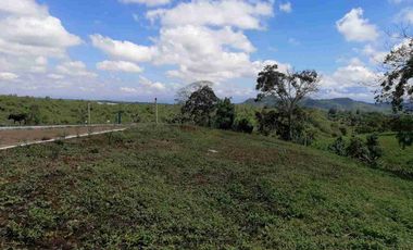 LOTE EN EN VENTA EN SECTOR COMBIA/PEREIRA