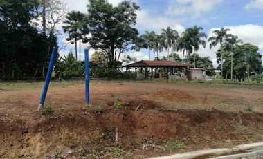 LOTE EN EN VENTA EN SECTOR COMBIA/PEREIRA