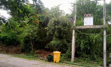 Land for sale in Bang Kao, Phetchaburi