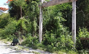 Land for sale in Bang Kao, Phetchaburi