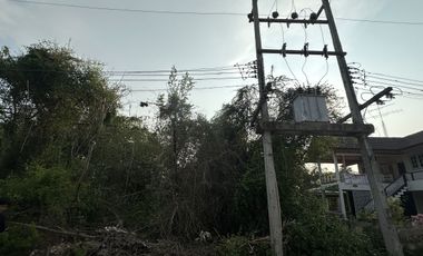 Land for sale in Bang Kao, Phetchaburi