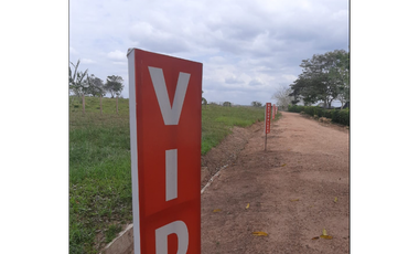 VENTA DE LOTES CAMPESTRES EN SAHAGÚN - CÓRDOBA 