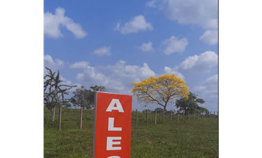VENTA DE LOTES CAMPESTRES EN SAHAGÚN - CÓRDOBA 