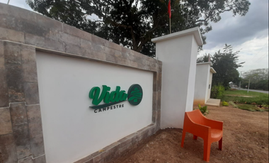 VENTA DE LOTES CAMPESTRES EN SAHAGÚN - CÓRDOBA 