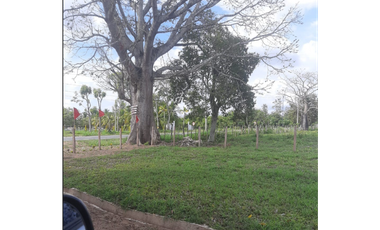 VENTA DE LOTES CAMPESTRES EN SAHAGÚN - CÓRDOBA 