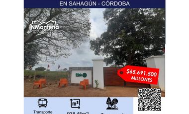 VENTA DE LOTES CAMPESTRES EN SAHAGÚN - CÓRDOBA 