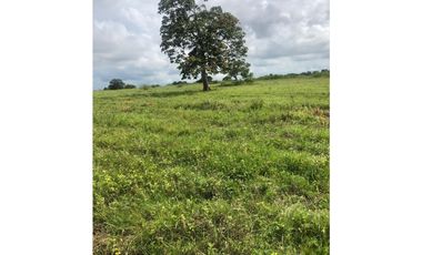 VENTA DE LOTES CAMPESTRES EN SAHAGÚN - CÓRDOBA 