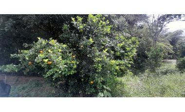 Lindo Lote Plano cerca La Gran via- La Mesa (muy buen agua)
